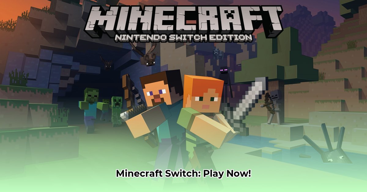 minecraft-download-switch